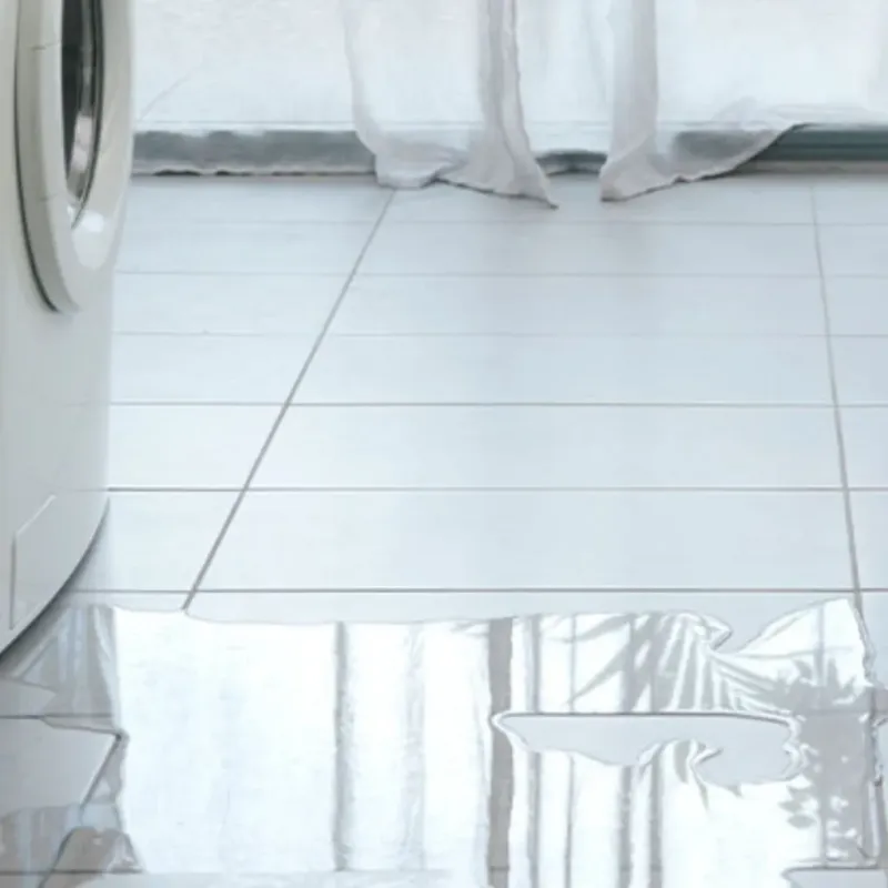 Appliance Leak Cleanup in Hawthorne, NV
