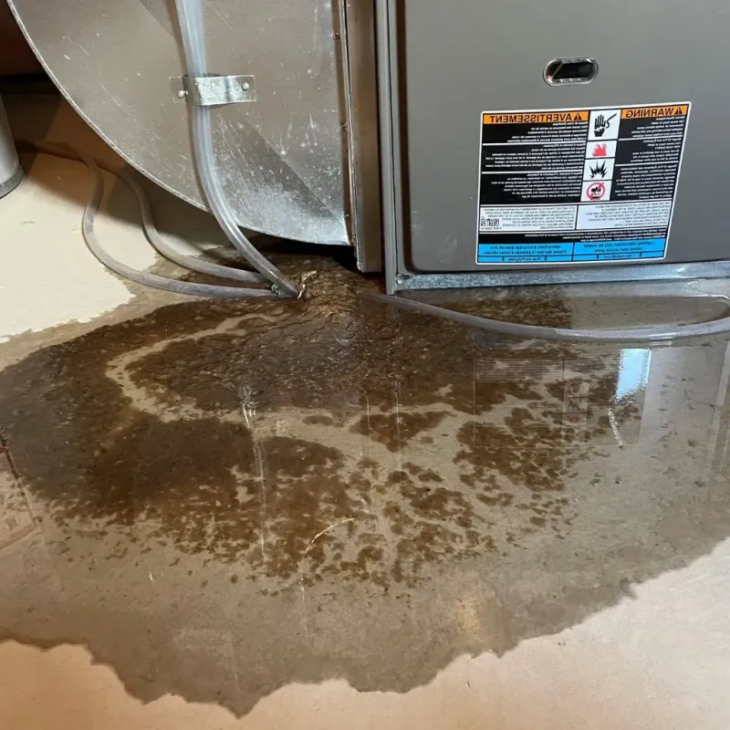 Pipe Burst and Leak Restoration in Hawthorne, NV