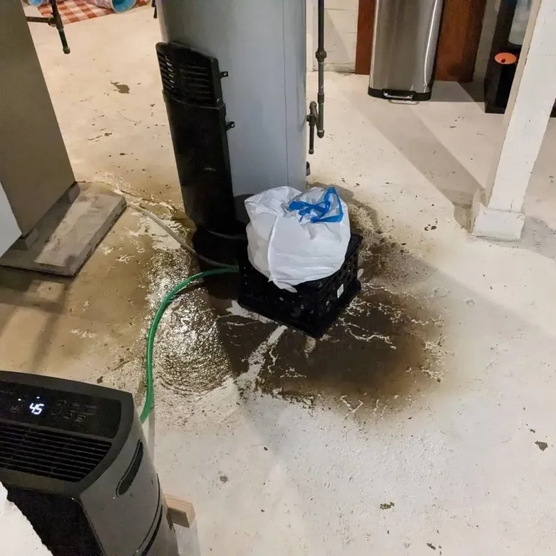 Sewage Backup Cleanup Service in Hawthorne, NV